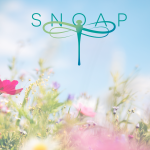 Blog SNOAP in Spring